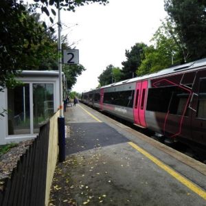 Click Here To View Larger Image